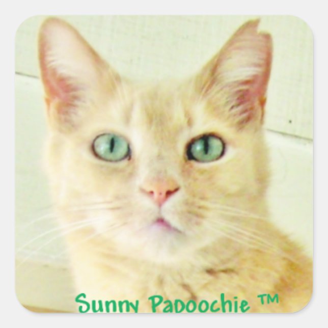 SUNNY PAPOOCHIE STICKERS (Vorderseite)