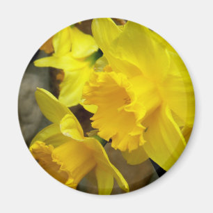 Sunny Petals Magnet