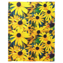 Sunny Rudbeckia Black-Mit Augen Susan