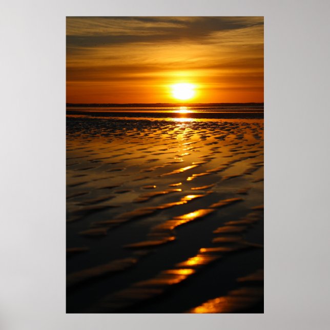 Sunny San Diego Poster (Vorne)