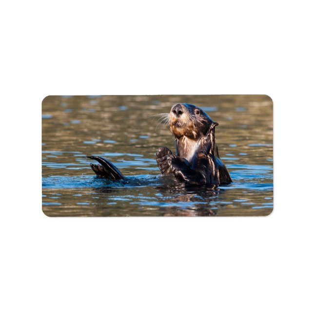 Sunny Sea Otter Adressaufkleber (Vorne)