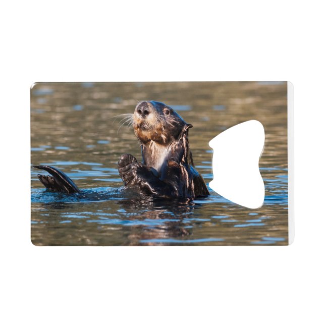 Sunny Sea Otter Geldbeutel Flaschenöffner (Rückseite Horizontal)