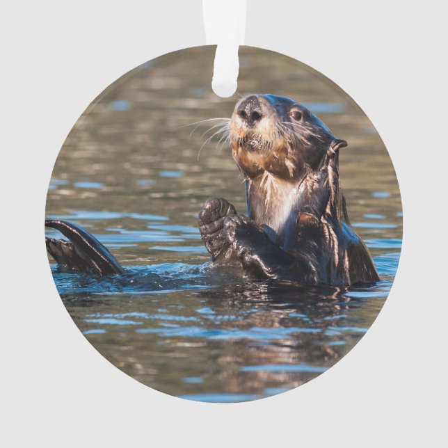 Sunny Sea Otter Ornament (Rückseite)