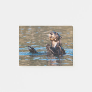 Sunny Sea Otter Post-it Klebezettel
