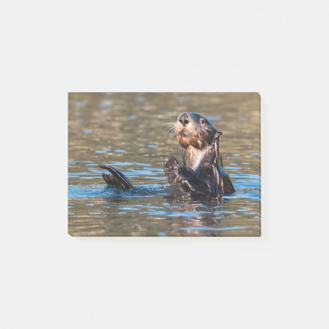 Sunny Sea Otter Post-it Klebezettel (Vorderseite)