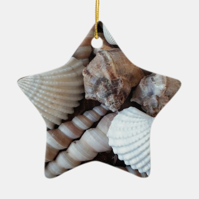 Sunny Seashells Collection Natursommer Keramikornament (Vorne)