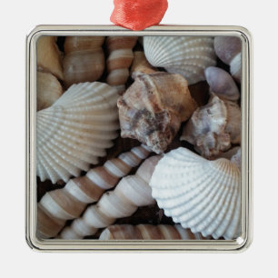 Sunny Seashells Collection Natursommer Silbernes Ornament
