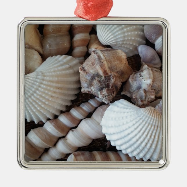 Sunny Seashells Collection Natursommer Silbernes Ornament (Vorne)