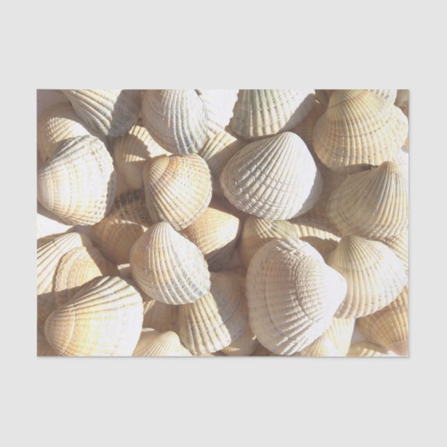Sunny Seashells Collection, Summer Beach, Tissue Seidenpapier (Vorderseite)