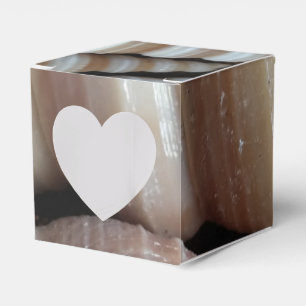 Sunny Seashells Gefälligkeitsbox, Summer Beach Wed Geschenkschachtel