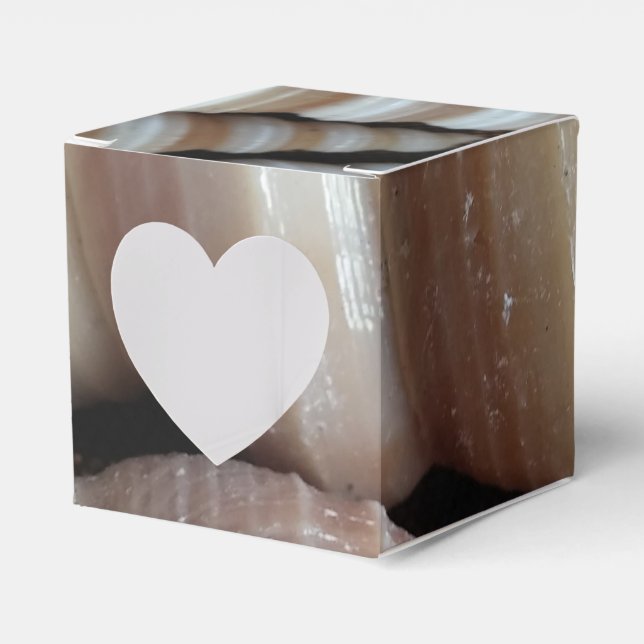 Sunny Seashells Gefälligkeitsbox, Summer Beach Wed Geschenkschachtel (Vorderseite)