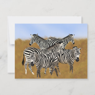 Sunny Serengeti Zebra   African Wildlife Safari Postkarte