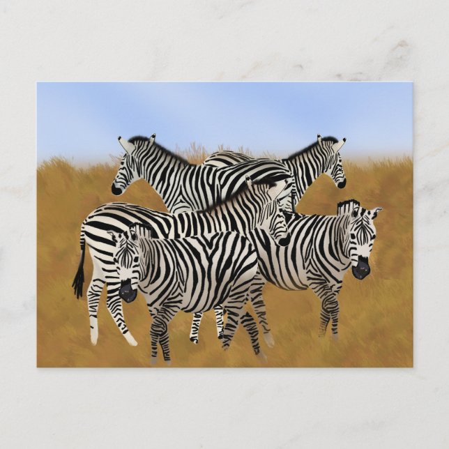 Sunny Serengeti Zebra | African Wildlife Safari Postkarte (Vorderseite)