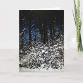 Sunny Snowy Christmas Framework Card 12x18 Feiertagskarte
