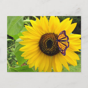 Sunny Summer Postcard Postkarte