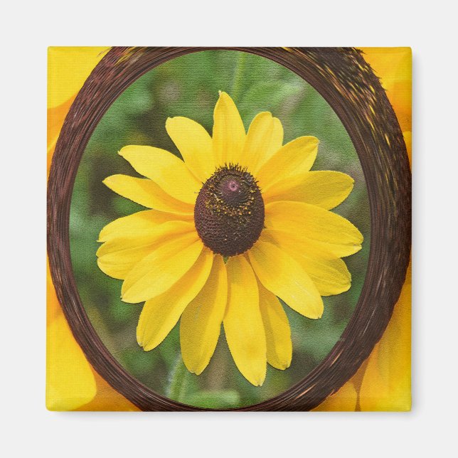 Sunny Susan... Magnet (Vorne)