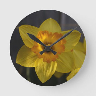 Sunny Yellow Daffodil Runde Wanduhr