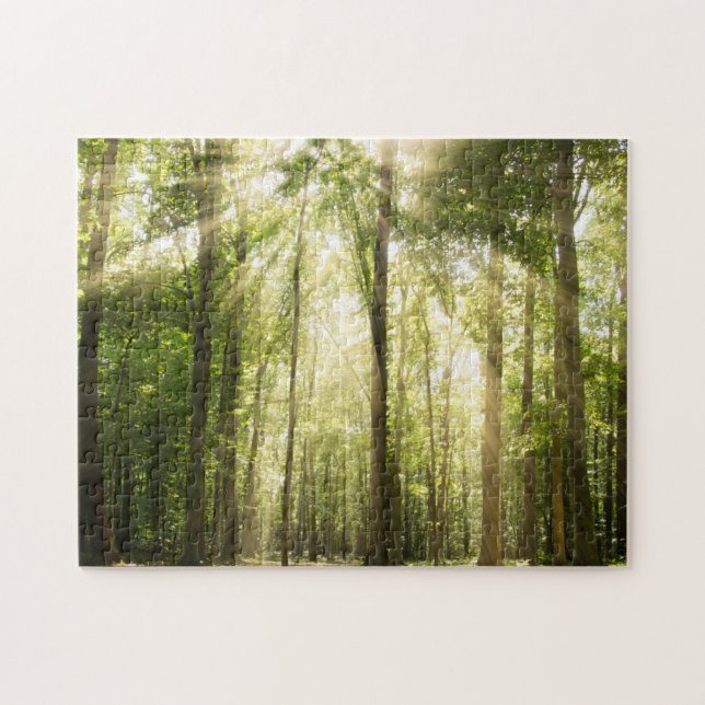 Sunrays durch Treetops Puzzle (Horizontal)