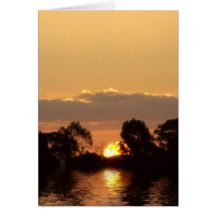 SUNREALISM SERIES Card