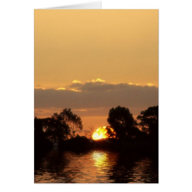 SUNREALISM SERIES Card (Vorne)