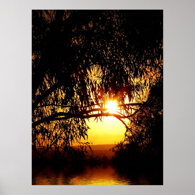 Sunrealismus : Ferntree Gully Poster (Vorne)