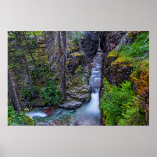Sunrift-Schlucht im Glacier-Nationalpark, Montana Poster