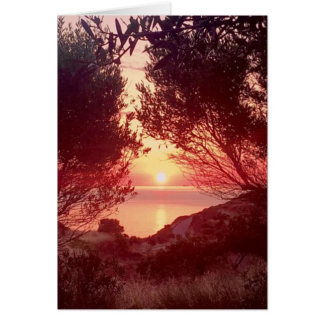 Sunrise (Vorne)