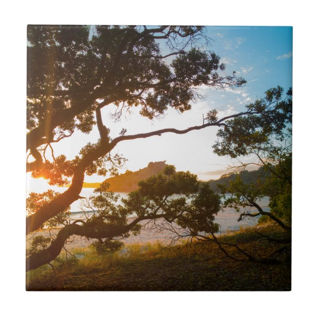 Sunrise Coromandel Beach Paradies Neuseeland Fliese (Vorderseite)