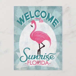 Sunrise Florida Pink Flamingo Retro Postkarte