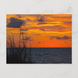 Sunrise, Fort Pierce, Florida Postkarte