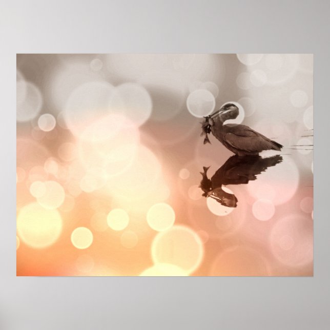 Sunrise Great Blue Heron Reflektion Poster (Vorne)