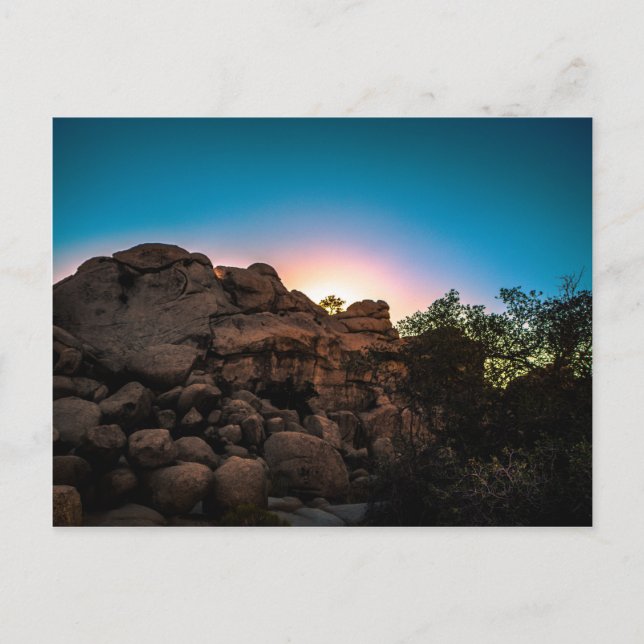 Sunrise Joshua Tree Nationalpark Postkarte (Vorderseite)