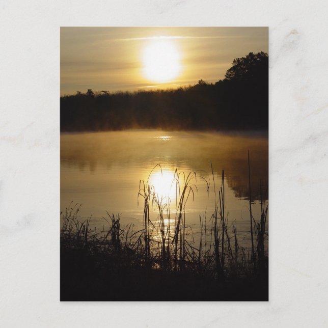 Sunrise Lake Reflection Postkarte (Vorderseite)