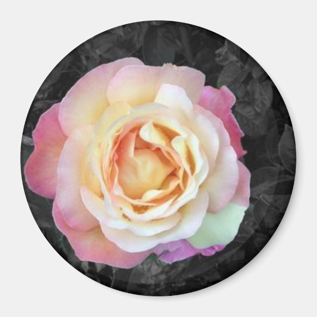 Sunrise Magnet (Vorne)