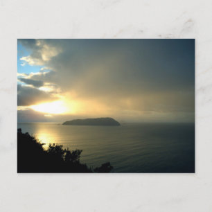 Sunrise Misty Calm Ocean New Zealand Postkarten