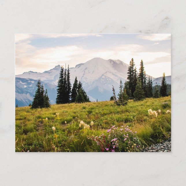 Sunrise Mt. Rainier Geschenke Postkarte (Vorderseite)