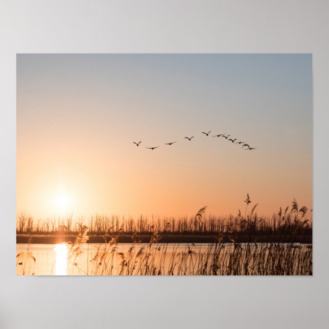 Sunrise Nature Foto Poster (Vorne)