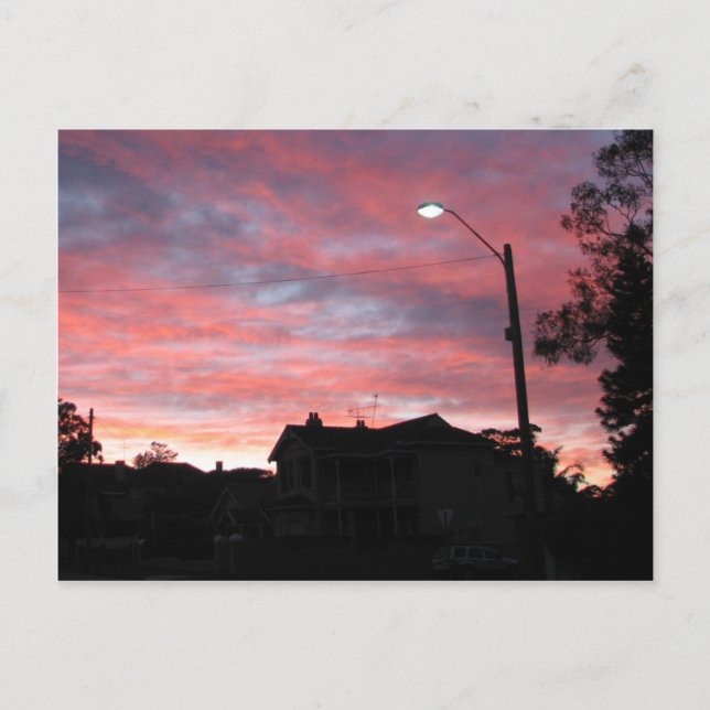 Sunrise over Centennial Park, Sydney Postkarte (Vorderseite)