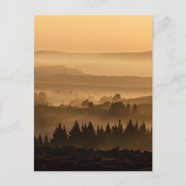 Sunrise Over Misty Rolling Hills Landscape Postkarte (Vorderseite)