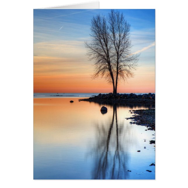 Sunrise Palette (Vorne)