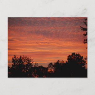Sunrise Postcard Postkarte