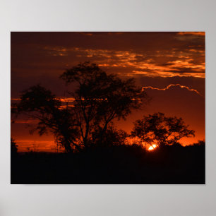 Sunrise Poster