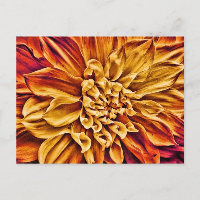Sunrise Postkarte (Vorderseite)