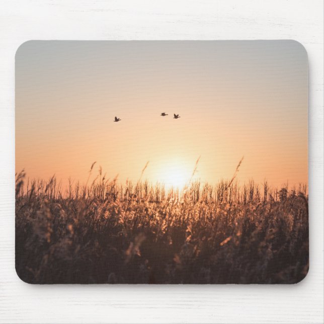 Sunrise Reed Nature Foto Mousepad (Vorne)