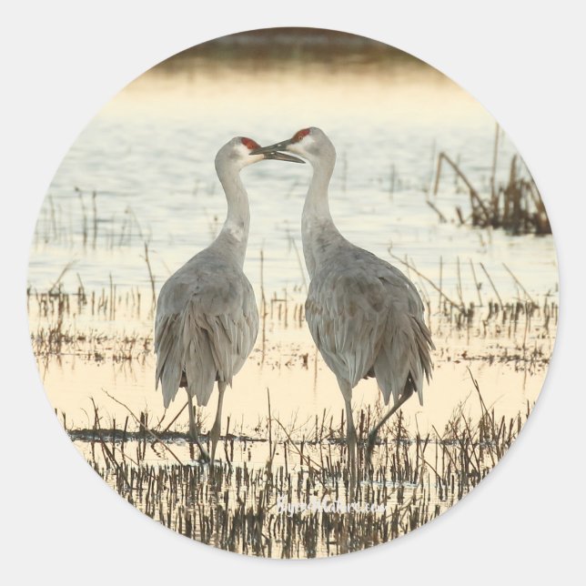 Sunrise Sandhill Crane Paar Runder Aufkleber (Vorderseite)