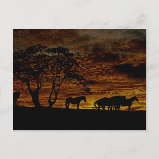 Sunrise-Silhouette Postkarte