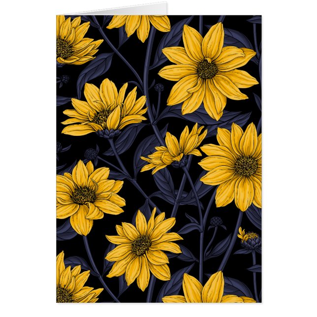 Sunroot, wilde Sonnenblumen in Gelb und Blau (Vorne)