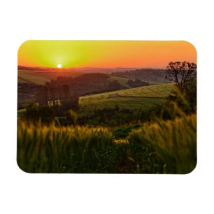 Sunset Agriculture Wheat Magnet