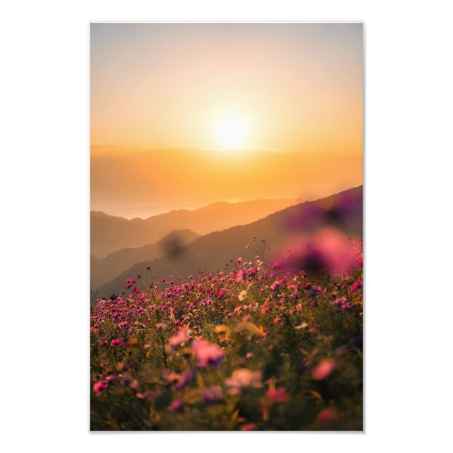 Sunset and cosmos fotodruck (Vorne)