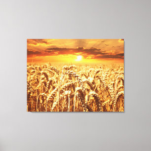 Sunset and Wheat Field Leinwanddruck